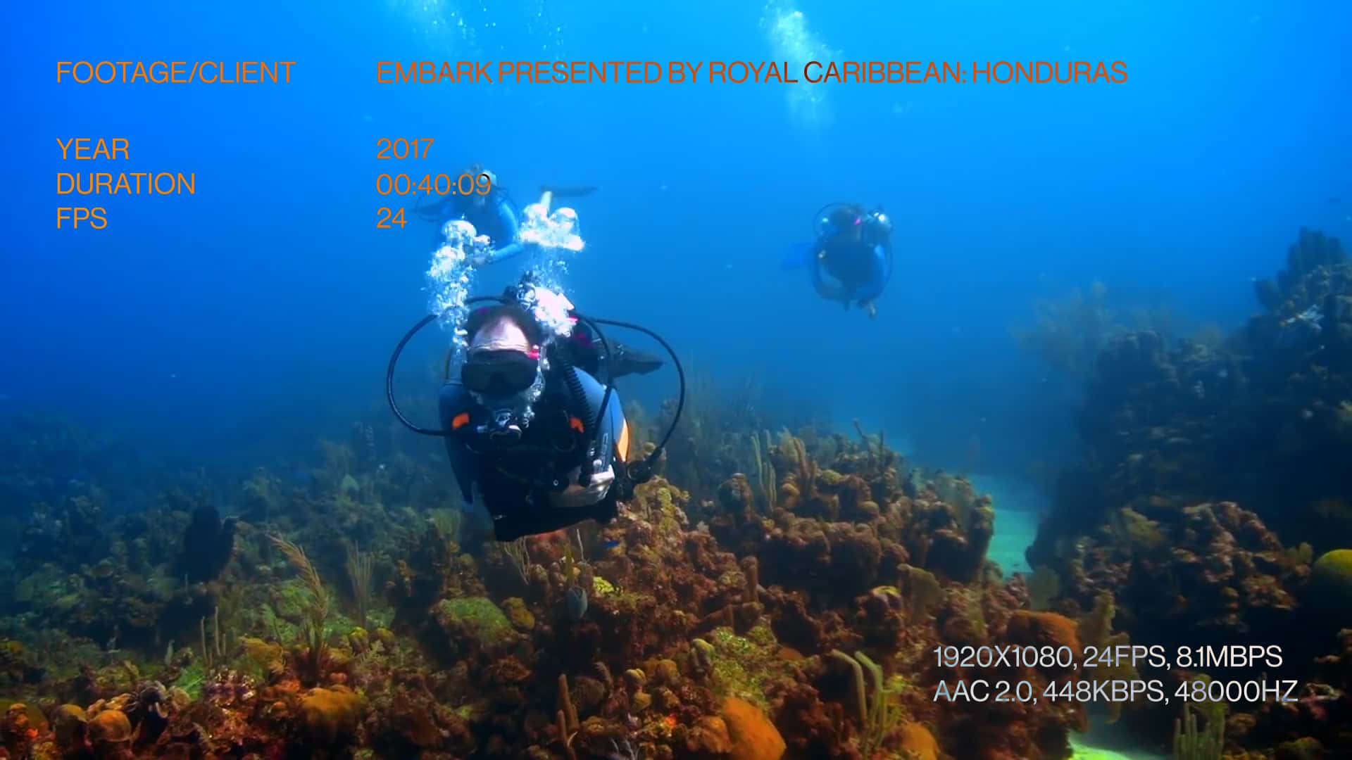 Shoot | Royal Caribbean Honduras